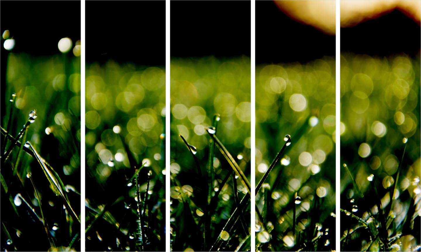 inep-b06xy8f7m2-grass-tacular-multi-frame-wall-art-arranged-in-a-living-room-to-sprout-vibrant-greens.jpg